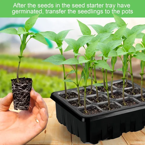 Vista 6 de Lunies Paquete de 6 bandejas de inicio de semillas con luz de crecimiento, bandeja de inicio de siembra con cúpula de humedad ajustable, kit