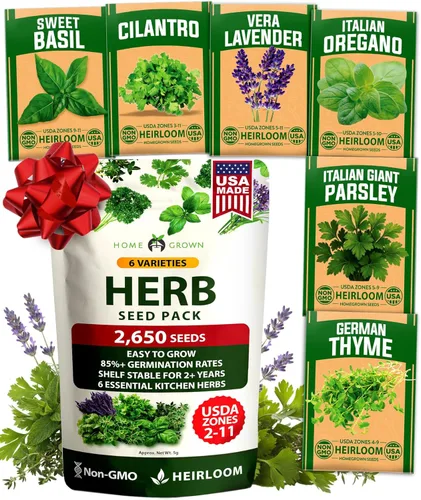 Vista 13 de Bóveda de 15 semillas de hierbas culinarias – Más de 4500 semillas criollas sin transgénicos para plantar – Jardín de hierbas para interiores