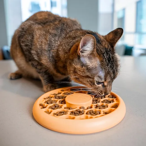 Vista 8 de Catstages Alimentador lento para gatos