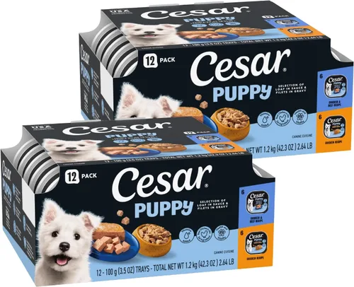 Vista 8 de Cesar Puppy Filets in Salsa Alimento húmedo para perros, receta de pollo, bandejas fáciles de pelar, 24