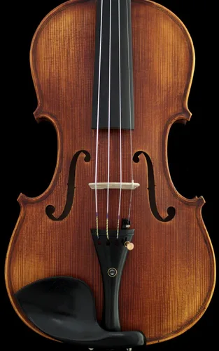 Vista 3 de Sky Mastero Sound 1/2 Tamaño Profesional Hecho a Mano Satén Acústico Violín Estilo Antiguo
