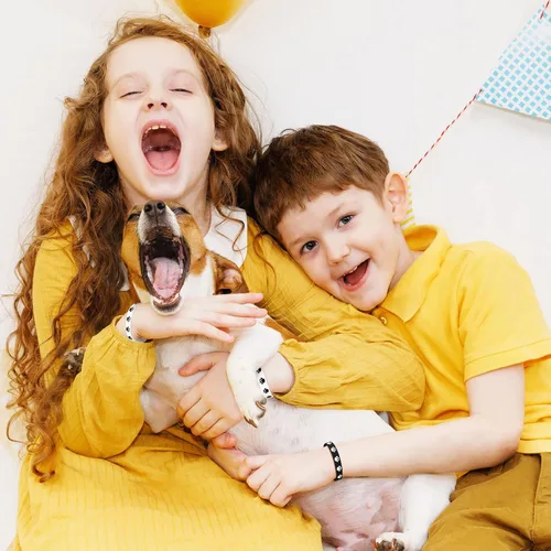 Vista 7 de 48 pulseras de goma con estampado de patas, pulseras elásticas de silicona multicolor para suministros de fiesta de cumpleaños, color negro, blanco