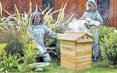 Vista 4 de LANGLANG Kit automático de casa de colmena de abejas de madera con 7 piezas mejoradas de marco automático peine, caja de colmena sin miel.