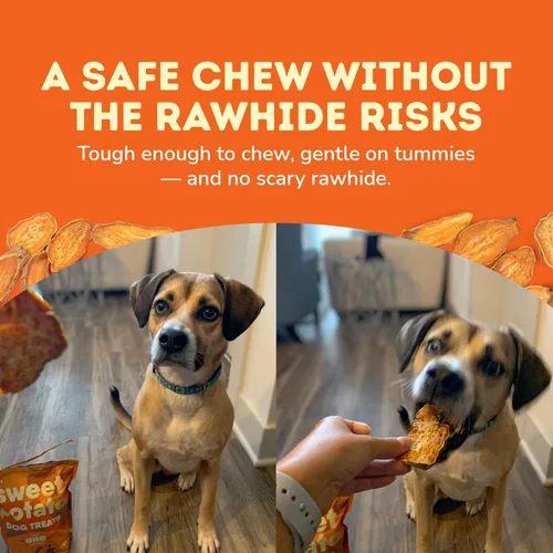 Vista 2 de Golosinas de Batata Dulce para Perros Davie's - Masticables saludables y naturales para perros, bajos en grasa, bolsa de 1 libra