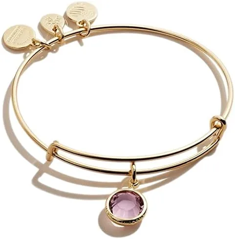 Alex and ANI Brazalete extensible con piedras natales para mujer dije de cristal de amatista del mes de febrero acabado dorado brillante 2 a 35