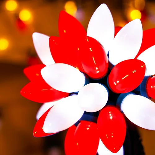 HAYATA C9 - Bombillas clásicas de Navidad - 50 luces LED de 32 pies en forma de fresa, rojo y blanco - Cadena de luces extensible de 8 modos con