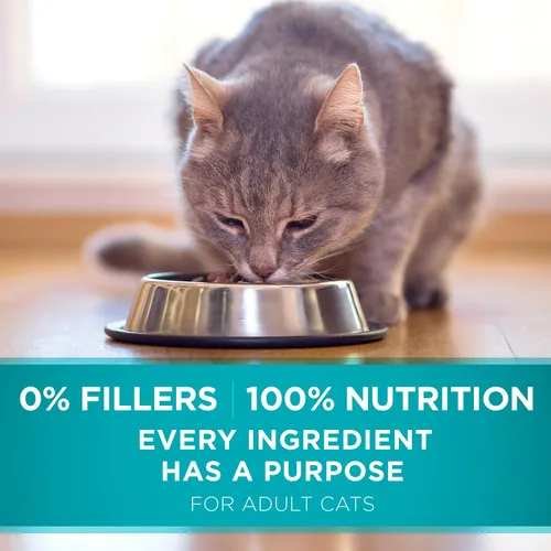 Vista 10 de Purina ONE Alimento seco natural para gatos, mezcla con pollo real, bolsa de 7 libras