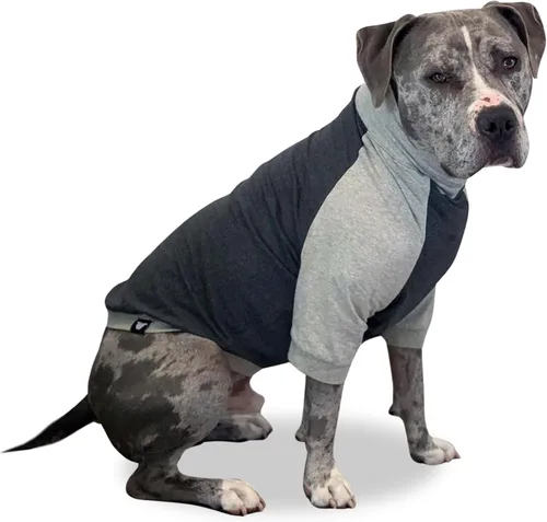 Vista 11 de Tooth & Honey Camisa para perros medianos – Algodón transpirable y elastano sin botones con cobertura completa debajo del vientre – Gris