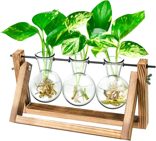 Estación de propagación, terrario de plantas, regalos para amantes de las plantas para mujeres, soporte de corte de plantas, decoración del hogar,