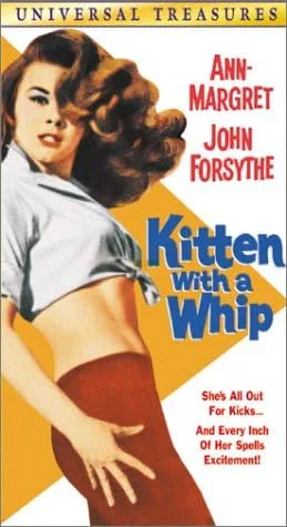 Kitten With a Whip VHS