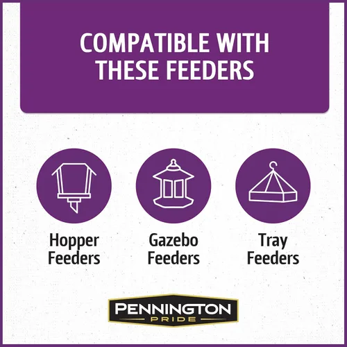 Vista 11 de Pennington - Songbird Nut & Fruit - Mezcla de semillas para pájaros silvestres, 10 libras
