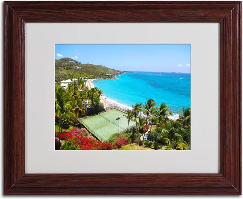 Vista 2 de CATeyes - Lienzo decorativo para pared, diseño de las Islas Vírgenes, marco de madera, 11 x 14 pulgadas