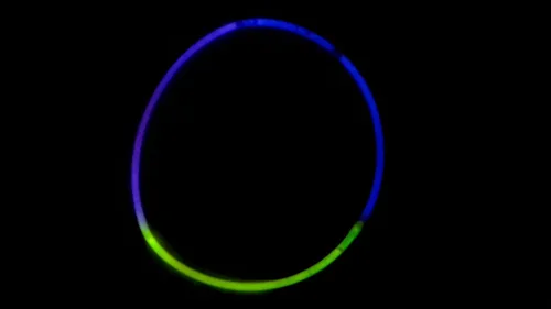 Vista 2 de Rhode Island Novelty COLLAR BRILLANTE TRICOLOR DE 22