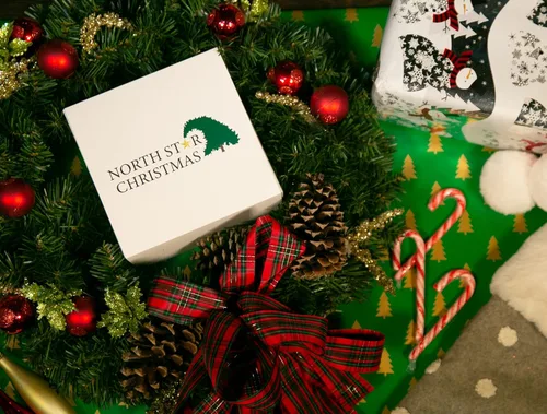 Vista 5 de Adorno de cristal de medusa Colección Animal