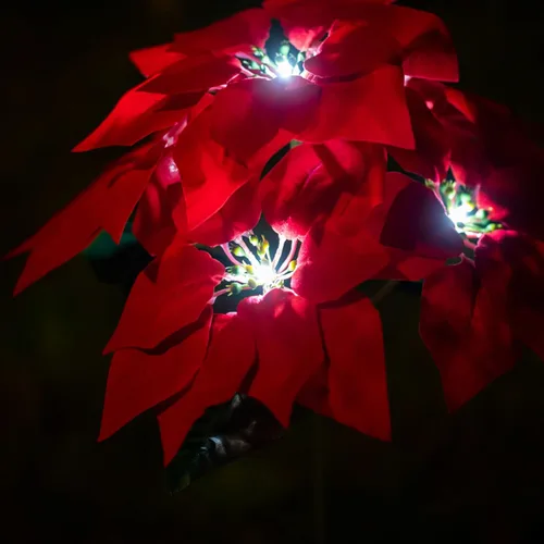 Vista 4 de Luces solares de flores para exteriores, luces de estaca de Pascua de Navidad, luces solares de rosas rojas, luces LED impermeables para jardín