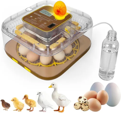 Vista 11 de Incubadora de 24 huevos para incubar con girador automático, control inteligente de temperatura y humedad, visualización 360°, ovoscopio, recarga