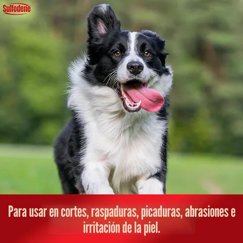 Vista 7 de Sulfodene, pomada de 3 vías para perros, S, Blanco