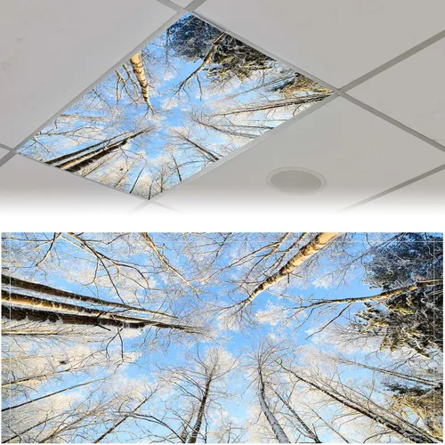 Vista 21 de Patelai Cubierta de luz fluorescente de tela de 4 x 2 pies para techo, aula, pantalla magnética para cubículo con 10 imanes, filtros de luz
