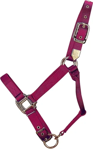 Vista 6 de Hamilton Cabestro de caballo de calidad ajustable de nailon de 1 pulgada con barbilla ajustable, tamaño pequeño