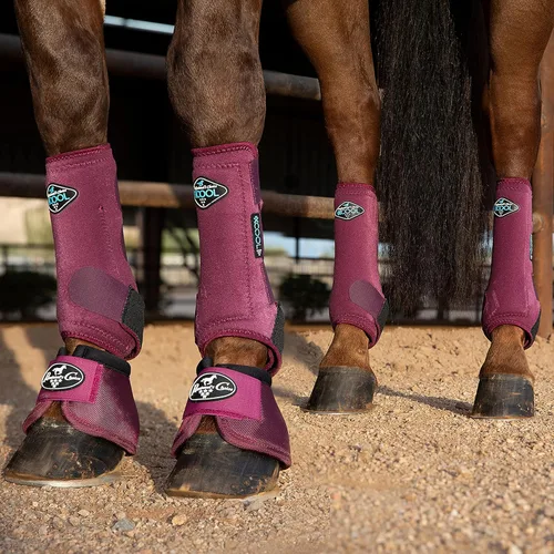 Vista 2 de Professional's Choice 2XCOOL - Botas deportivas para caballos medicinales, diseño protector y transpirable para máxima comodidad y durabilidad
