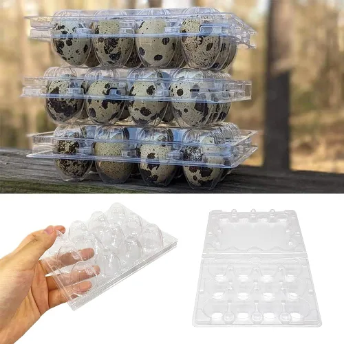 Vista 4 de 50 cajas de huevos de codorniz, 12 rejillas de almacenamiento de huevos pequeños, bandejas de cartón a granel para huevos pequeños, codorniz