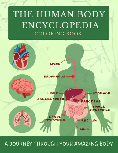 THE HUMAN BODY ENCYCLOPEDIA COLORING BOOK A JOURNEY THROUGH YOUR AMAZING BODY Unlock The Secrets Of Realistic and Accurate Depictions Of The Human