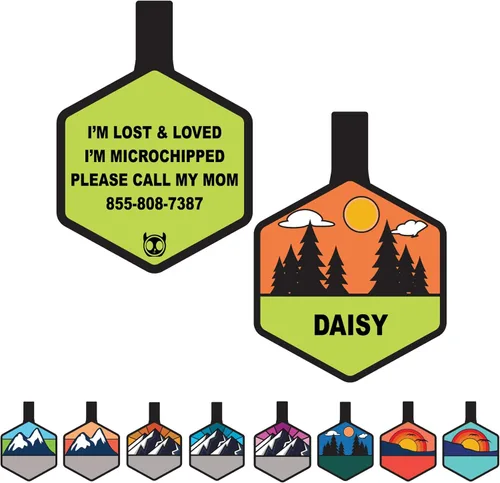 Placa de identificación silenciosa personalizada con 5 líneas de identificación de mascotas de silicona duradera y grabada profundamente, diseño