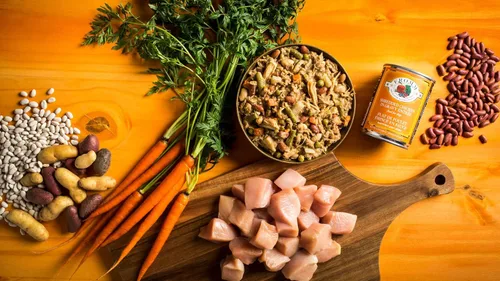 Vista 2 de Fromm Four-Star Nutritionals - Comida para perros con pollo rallado en salsa, comida húmeda prémium para perros, receta de pollo, caja de 12 latas