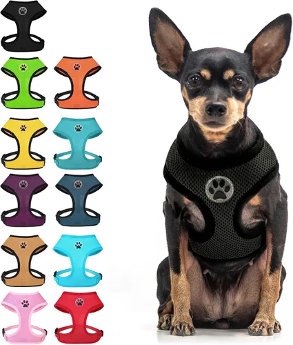 Vista 11 de BINGPET Arnés para perro sin tirones, arnés de chaleco tipo step-in de malla para todo clima para perros pequeños, arnés de malla transpirable