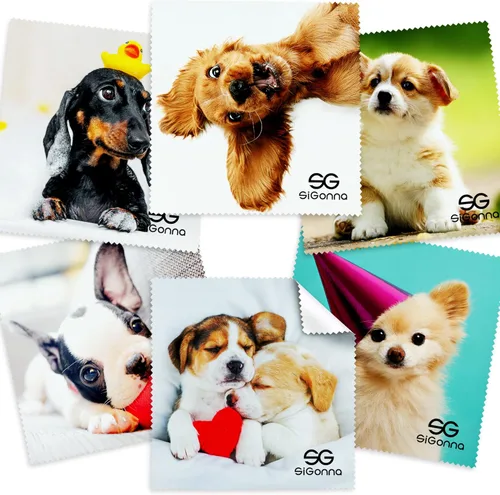 Paño de limpieza de microfibra para gafas - Paño de limpieza de lentes - Paño de limpieza de lentes - Paño de limpieza de gafas de microfibra para