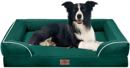 Vista 260 de Comfort Expression - Cama ortopédica para perros medianos de 30x20 pulgadas, cama impermeable de espuma de huevera para mascotas medianas