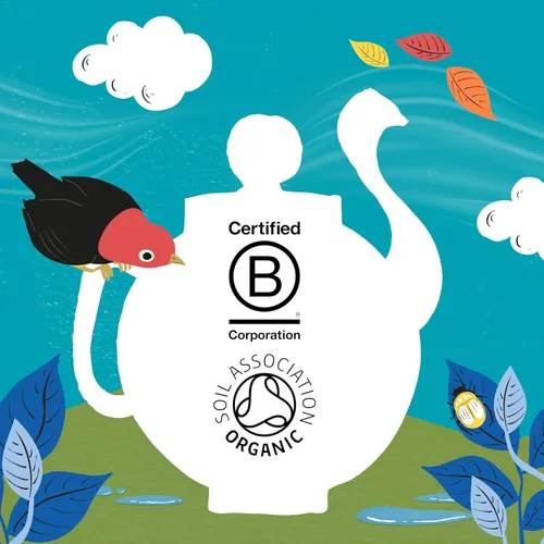 Vista 7 de Clipper Tea Tea - Té de comercio justo orgánico descafeinado 80 sin blanquear, bolsas sin plástico, 8.2 onzas, 1 paquete, 80 bolsas de té sin