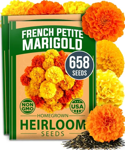 Vista 68 de Bóveda de 15 semillas de hierbas culinarias – Más de 4500 semillas criollas sin transgénicos para plantar – Jardín de hierbas para interiores