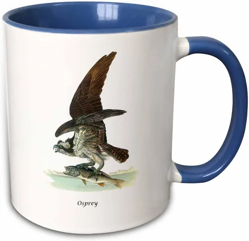 Vista 12 de 3dRose mug_114078_2 Atlantic Puffin by John James Audubon - Taza de cerámica, 15 onzas