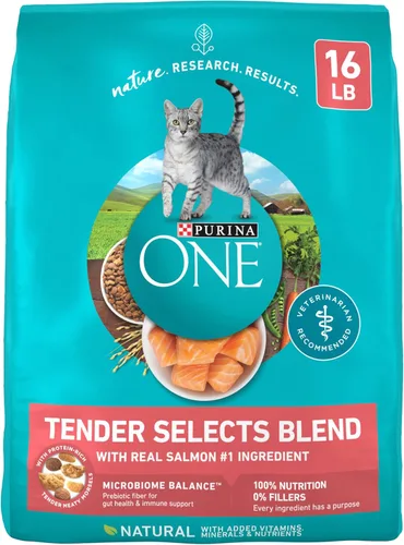 Purina ONE Alimento seco natural para gatos, Tender Selects mezcla con salmón real, bolsa de 16 libras