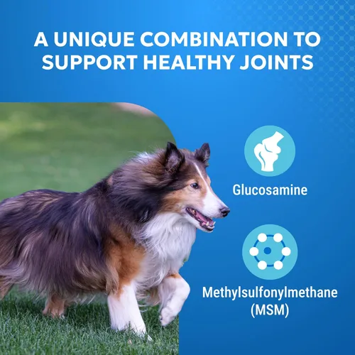 Vista 3 de Nutramax Cosequin Elements - Suplemento de salud articular para perros, contiene glucosamina para perros, MSM, apoya articulaciones saludables