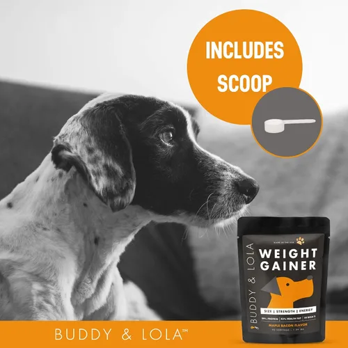 Vista 4 de Buddy & Lola Ganador de peso para perros – Suplemento para perros para aumento de peso – Polvo de Protien para perro para Max Muscle Builder