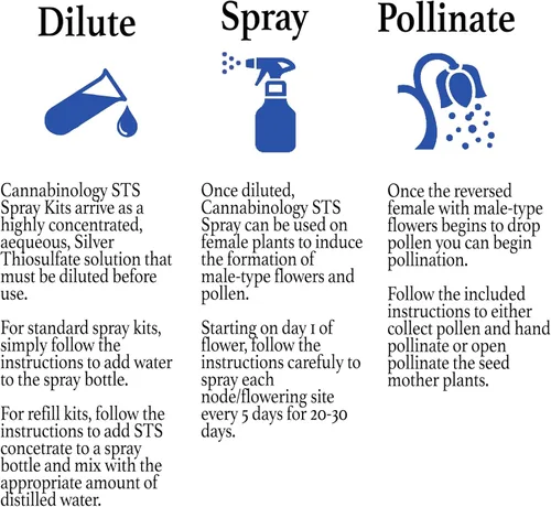 Vista 3 de Kit de recambio de 16 oz – Solución de tiosulfato de plata de 2 oz/2.0 fl oz (hace 16 oz STS Spray) Spray de semillas feminizadas Kit