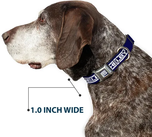 Vista 5 de Buckle-Down Collar de perro hebilla de cinturón de seguridad Carroll Shelby CS Shelby Racing Logo Block Navy White 15 a 24 pulgadas 1.0 pulgadas