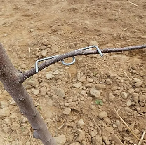 Vista 5 de LEILIN Extractor de ramas de árboles frutales Máquina de atado Herramientas agrícolas Ciruelo Árbol de ángulo abierto Herramienta de flexión