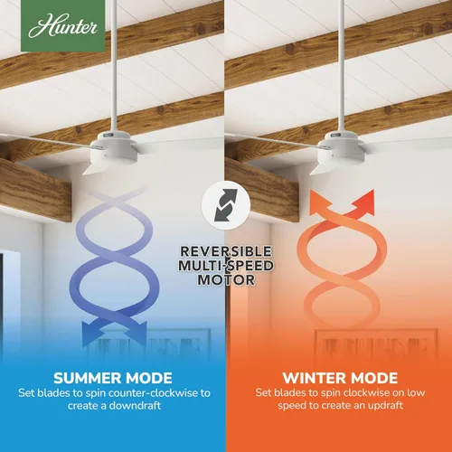 Vista 5 de Hunter Ventilador de techo interior contemporáneo con acabado blanco mate de 52 pulgadas con 3 aspas (renovado)