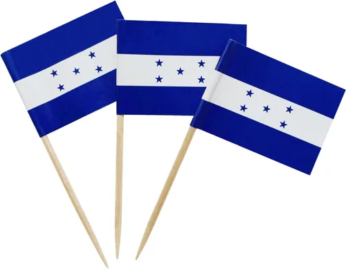 Vista 36 de 100 piezas de banderas de Brasil brasileñas pequeñas con palillos, decoración para mini cupcakes, toppers para cupcakes, banderas de comida