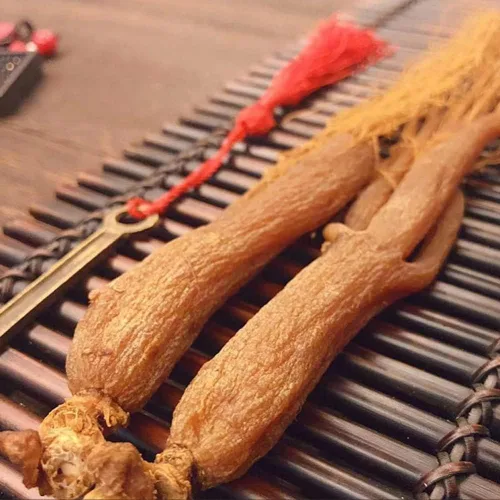 Vista 3 de Raíz roja de ginseng rojo Ginseng rojo de Corea Té de ginseng rojo coreano Raíz de ginseng rojo orgánico natural raíz de ginseng coreano rojo 16