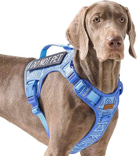Vista 33 de Arnés para perro sin tirones para perros de tamaño pequeño, chaleco ajustable para caminar fácilmente, material Oxford transpirable, tiras