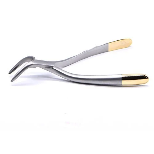 Angzhili Pinza de extracción dental para fragmento de raíz, instrumento dental mínimamente invasivo, pinza curvada (dientes axilares y mandibulares)