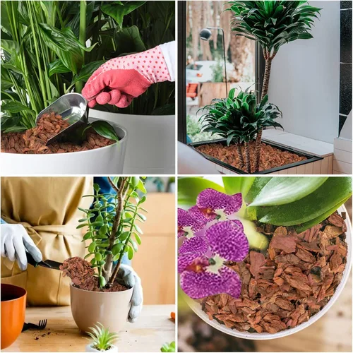 Vista 8 de Legigo Corteza orgánica para macetas de orquídeas de 6 cuartos de galón - Mezcla natural para macetas de corteza de orquídea, astillas de madera