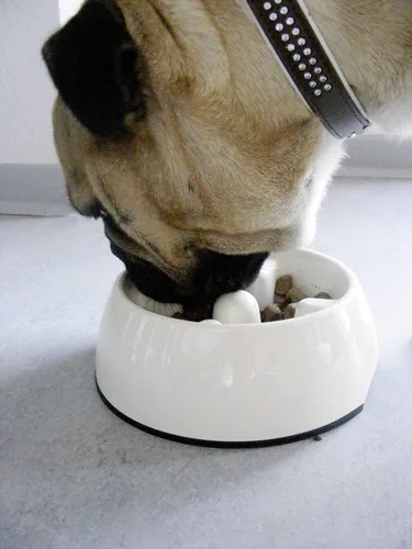 Vista 2 de Dogit Go lenta anti-gulping tazón para perro, S, Negro