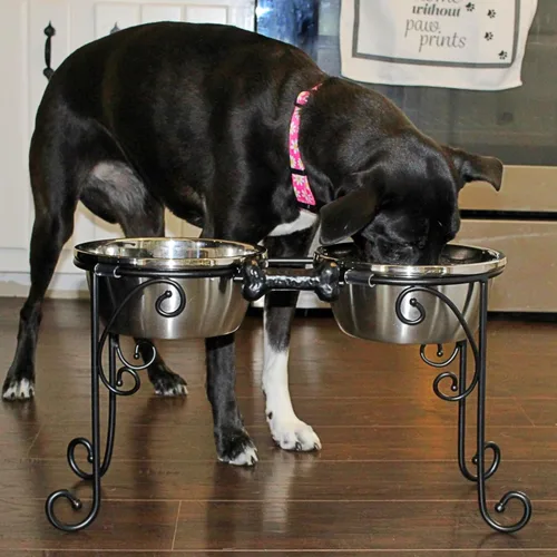 Vista 7 de Cuencos elevados para perros de 12 pulgadas, soporte elevado para cuenco para perro, soporte para tazón doble, comedero para mascotas viene