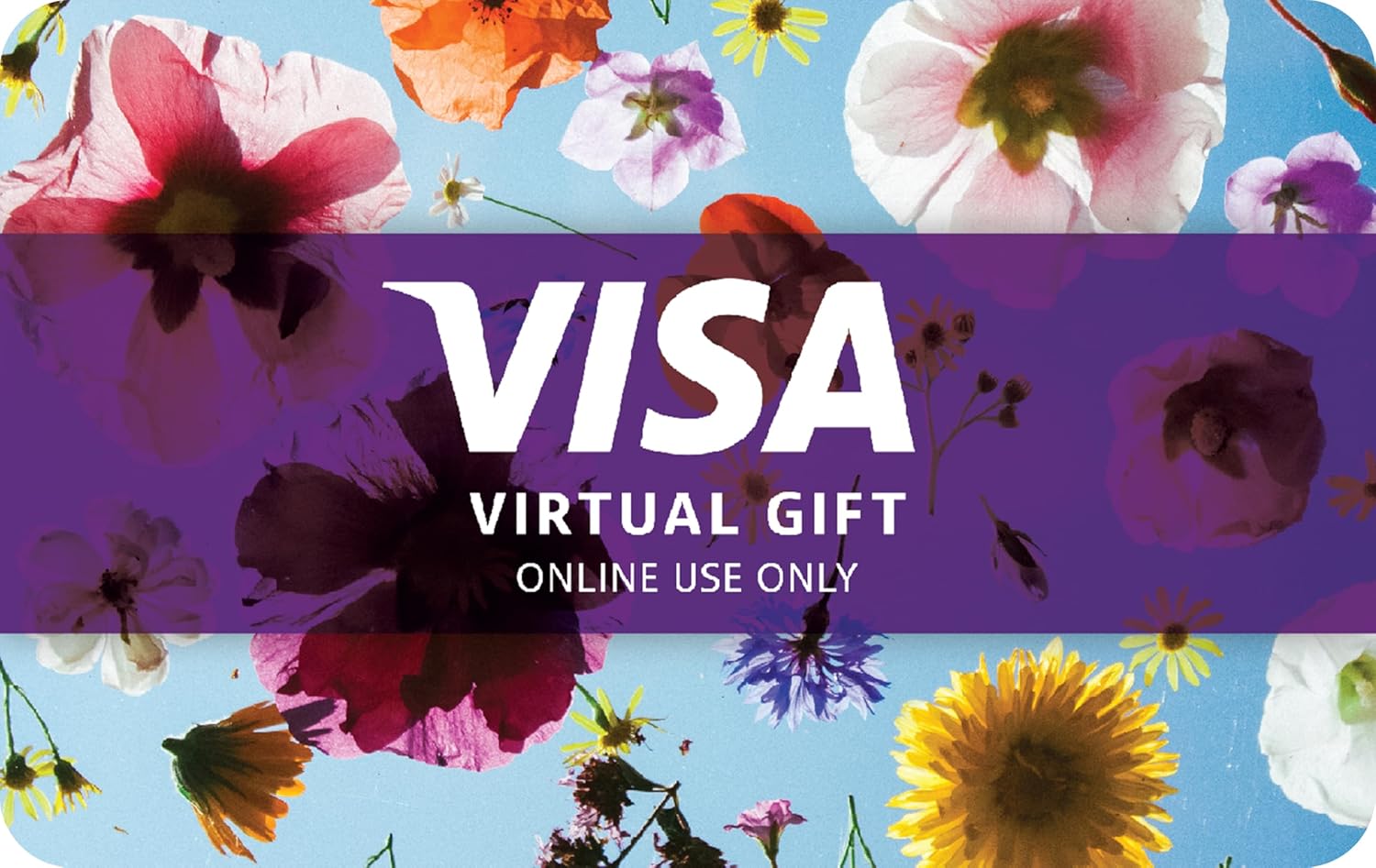 Visa Virtual eGift Card - $200 (plus $6.95 Purchase Fee) For Online Use Only