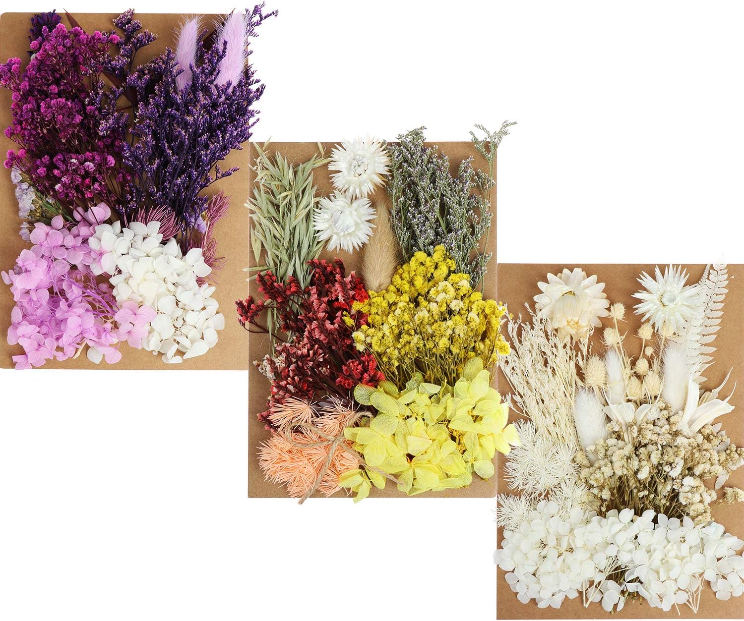 131 piezas de flores secas de margaritas, hortensias, múltiples flores naturales prensadas coloridas flores secas decorativas para manualidades